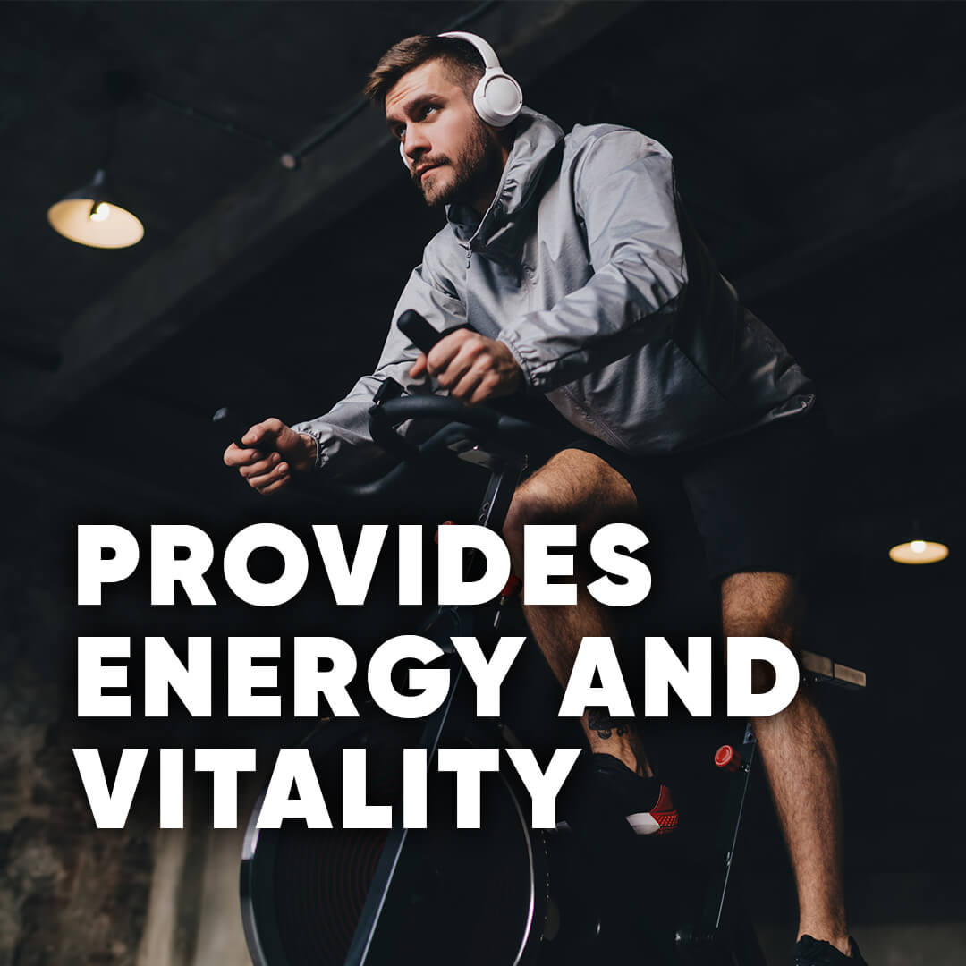 100% HYDROLYZED WHEY PROTEIN ISOLATE, MILK CHOCOLATE